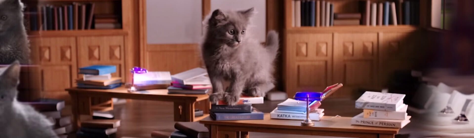 WHISKAS ® Belgïe Officiële site